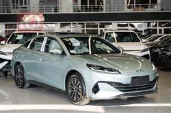 بي واي دي سيل 06 DM-i